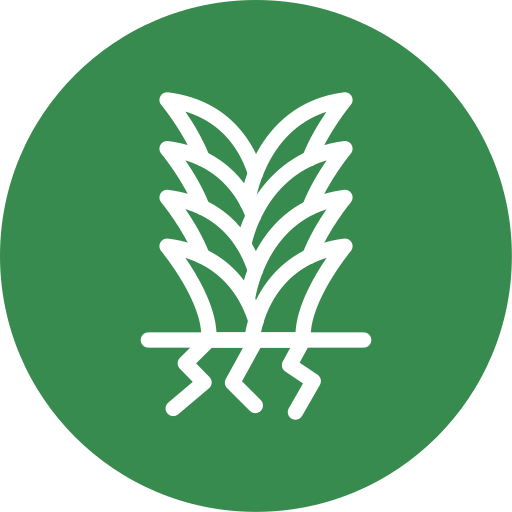yuca Generic Flat icono