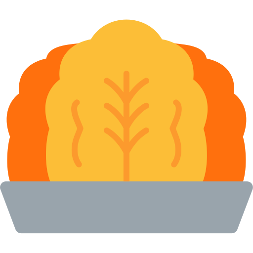 Kimchi Generic Flat icon