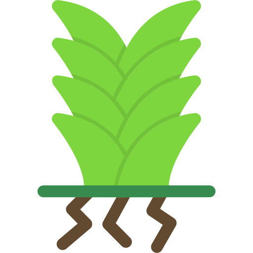 Yucca Generic Flat icon