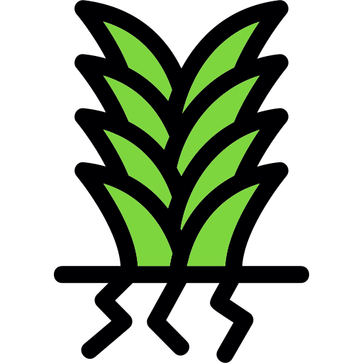 yuca Generic Outline Color icono
