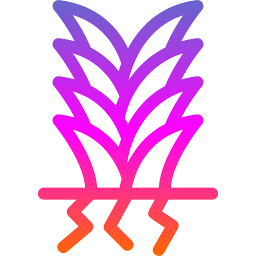 yucca Generic Gradient icon