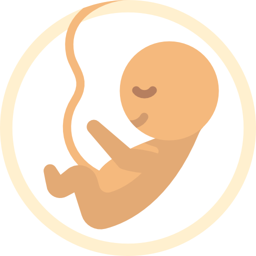 embrión Special Flat icono