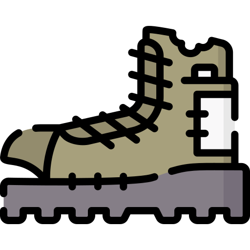 Boot Special Lineal color icon