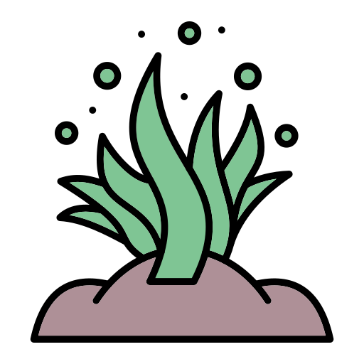 Seaweed Generic Outline Color icon
