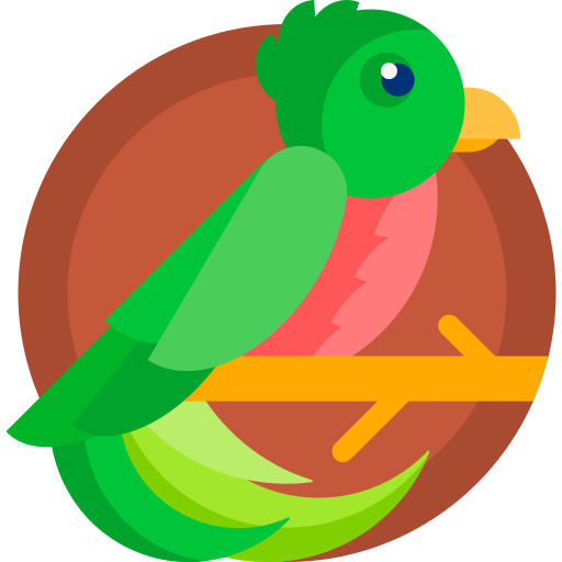 quetzal Detailed Flat Circular Flat icon