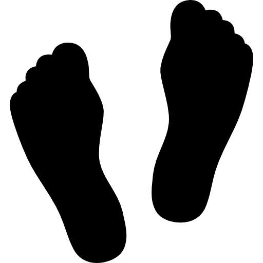 dos pies  icono