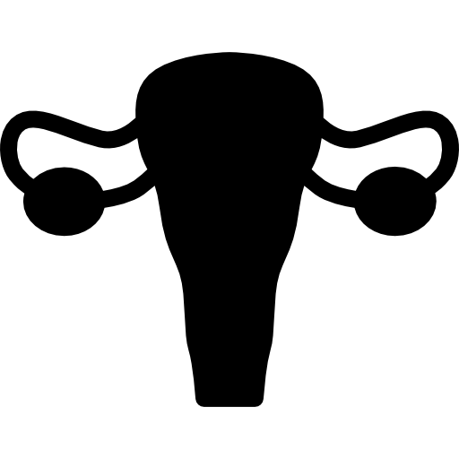 女性の生殖システム  icon