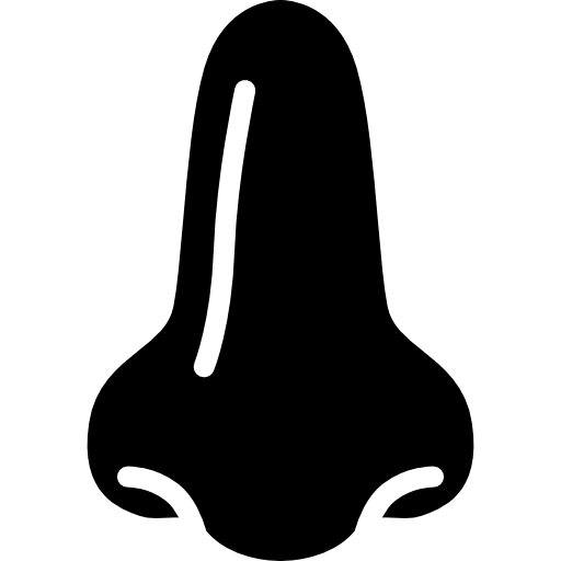 nariz grande  Ícone