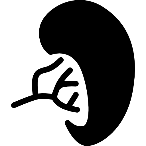 One Kidney  icon