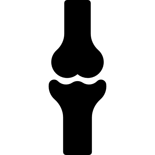 huesos de la rodilla  icono