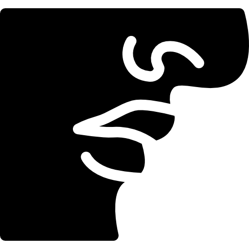 Нос и губы  иконка