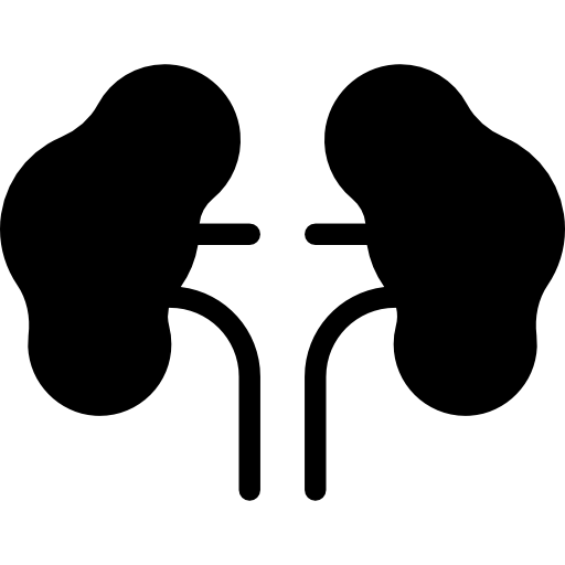 zwei nieren  icon