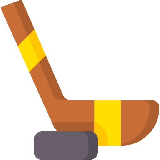 Hockey stick Special Flat icon
