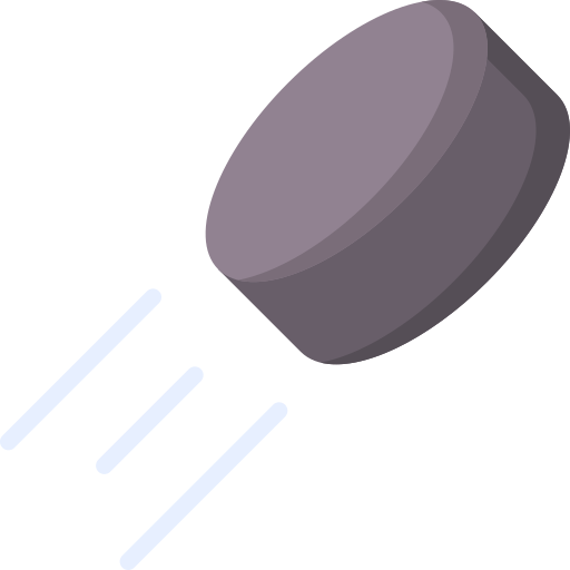 Hockey puck Special Flat icon