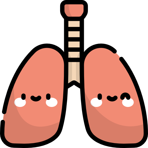 pulmões Kawaii Lineal color Ícone