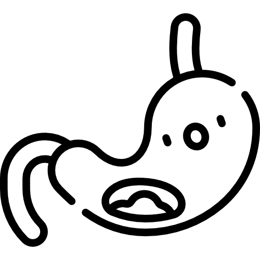 estómago Kawaii Lineal icono