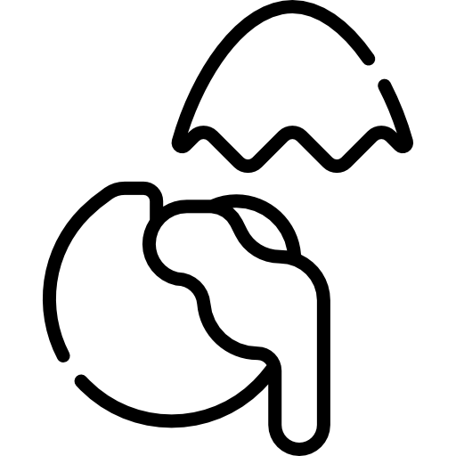 uovo Kawaii Lineal icona