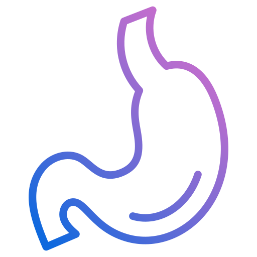 Stomach Generic Gradient icon