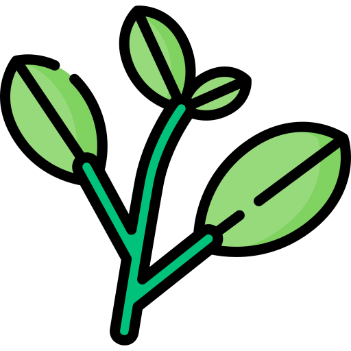 Зеленый чай Special Lineal color иконка