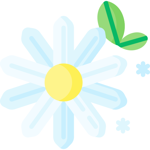 Chamomile Special Flat icon