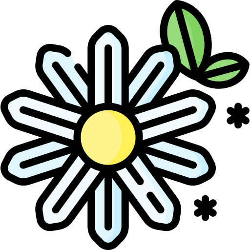 manzanilla Special Lineal color icono