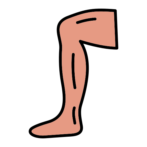 다리 Generic Outline Color icon