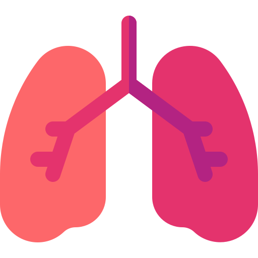 pulmões Basic Rounded Flat Ícone