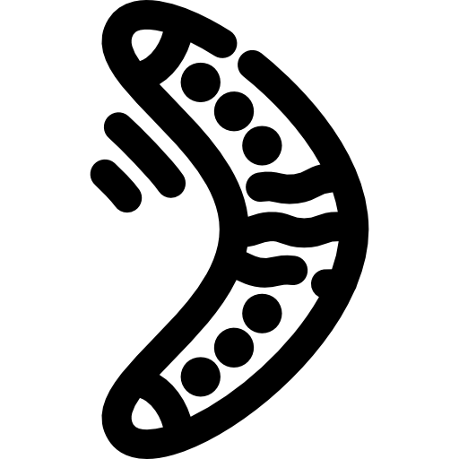 ブーメラン Voysla Lineal icon