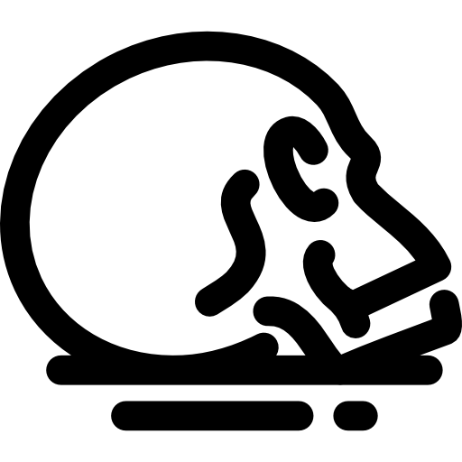 schädel Voysla Lineal icon