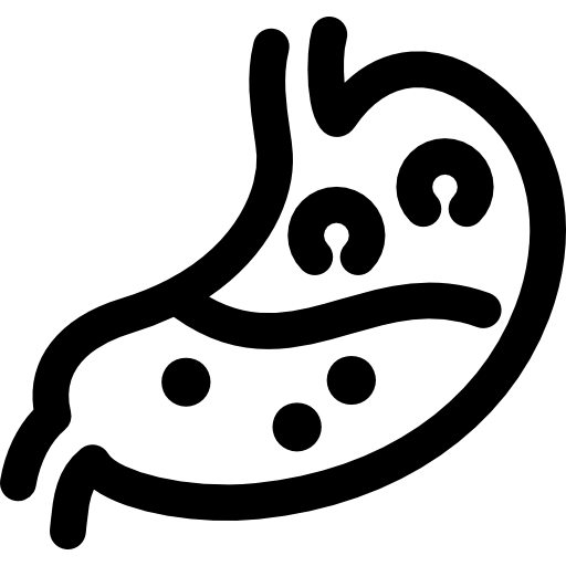 Желудок Voysla Lineal иконка