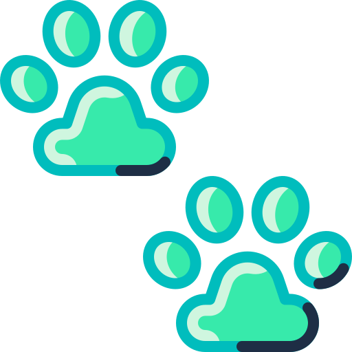 Paws Special Meteor Lineal color icon