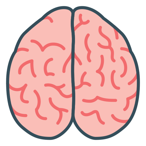 cervello Generic Outline Color icona