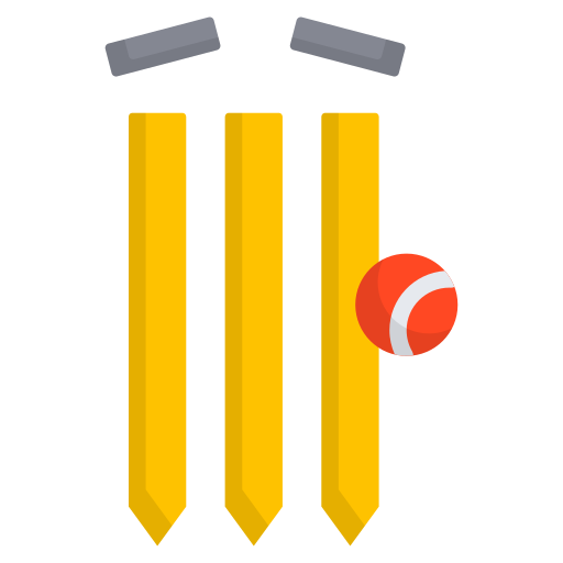 Wicket Generic Flat icon
