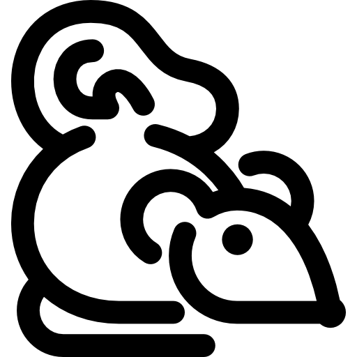 deformidad Voysla Lineal icono