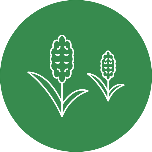 hyacint Generic Flat icoon