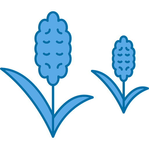 jacinto Generic Blue icono