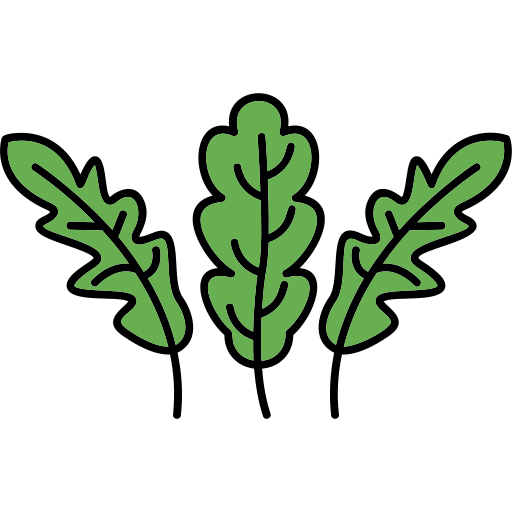rucola Generic Outline Color icon