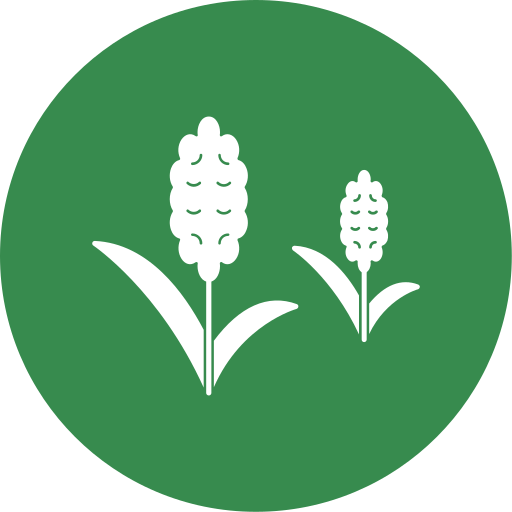 hyacint Generic Mixed icoon