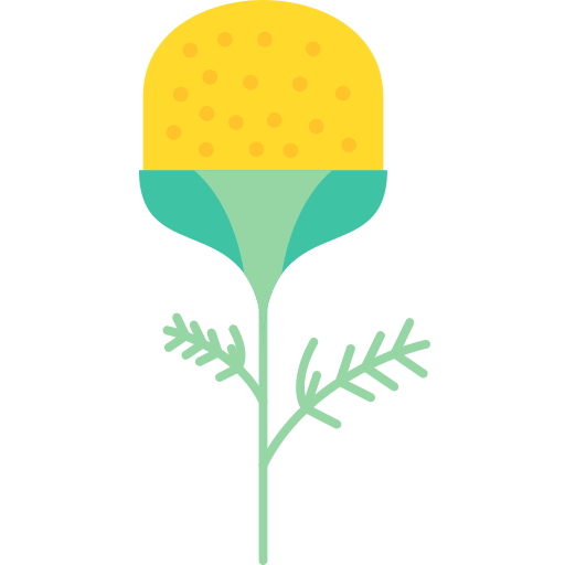 pineappleweed Generic Flat Ícone