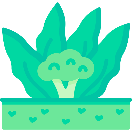 brokuły Special Flat ikona