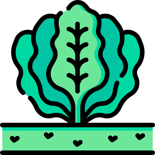 espinaca Special Lineal color icono