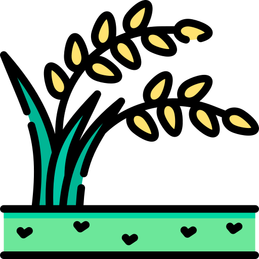 Rice Special Lineal color icon