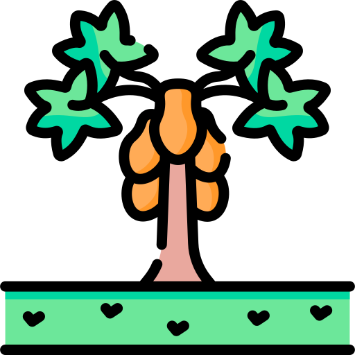 papaja Special Lineal color ikona