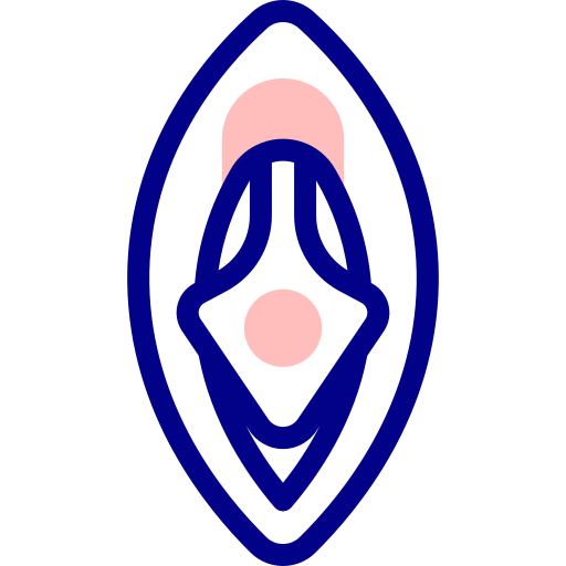 Vagina Detailed Mixed Lineal color icon