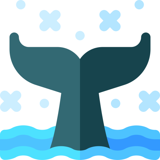 鯨 Basic Rounded Flat icon