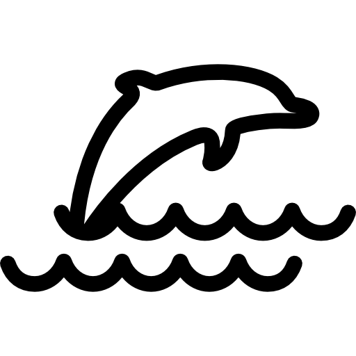 skoki delfinów  ikona