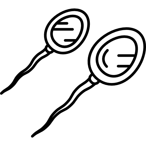 due spermatozoi Hand Drawn Black icona