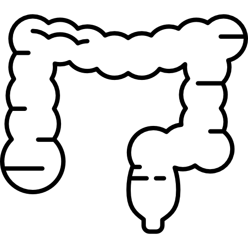 intestino crasso Hand Drawn Black icona