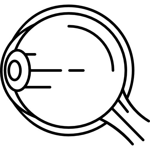 struktura gałki ocznej Hand Drawn Black ikona