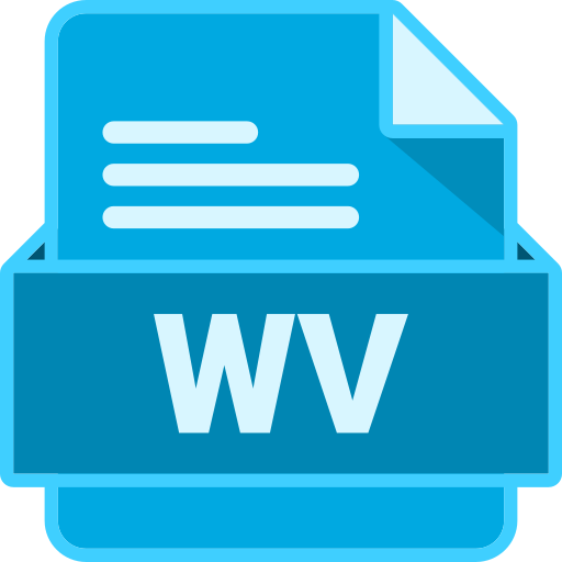 Wv Generic Outline Color icon